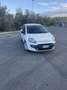 Fiat Punto Evo 3p 1.3 mjt Active s&s 75cv - thumbnail 2