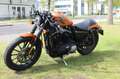 Harley-Davidson Sportster XL 883 xl883n sporster iron Oranje - thumbnail 5