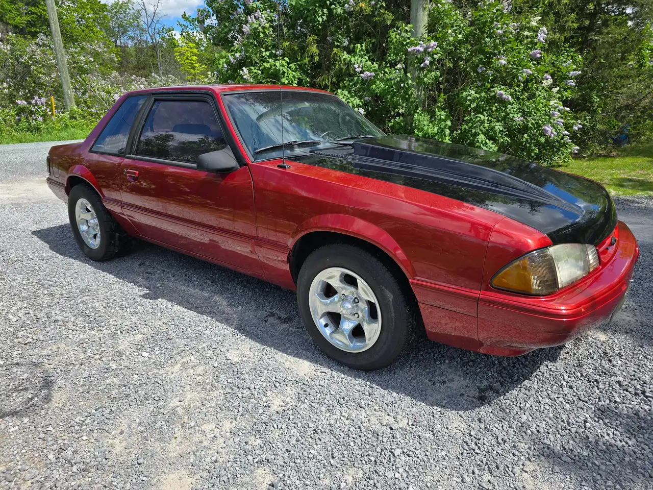 Ford Mustang снимка Ford Mustang