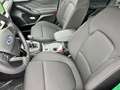 Ford Focus TITANIUM 1.0 ECOBOOST 125PK MHEV - Winter Pack + P Azul - thumbnail 6