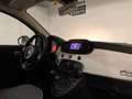 Fiat 500 1.2 Lounge 69cv Grigio - thumbnail 7