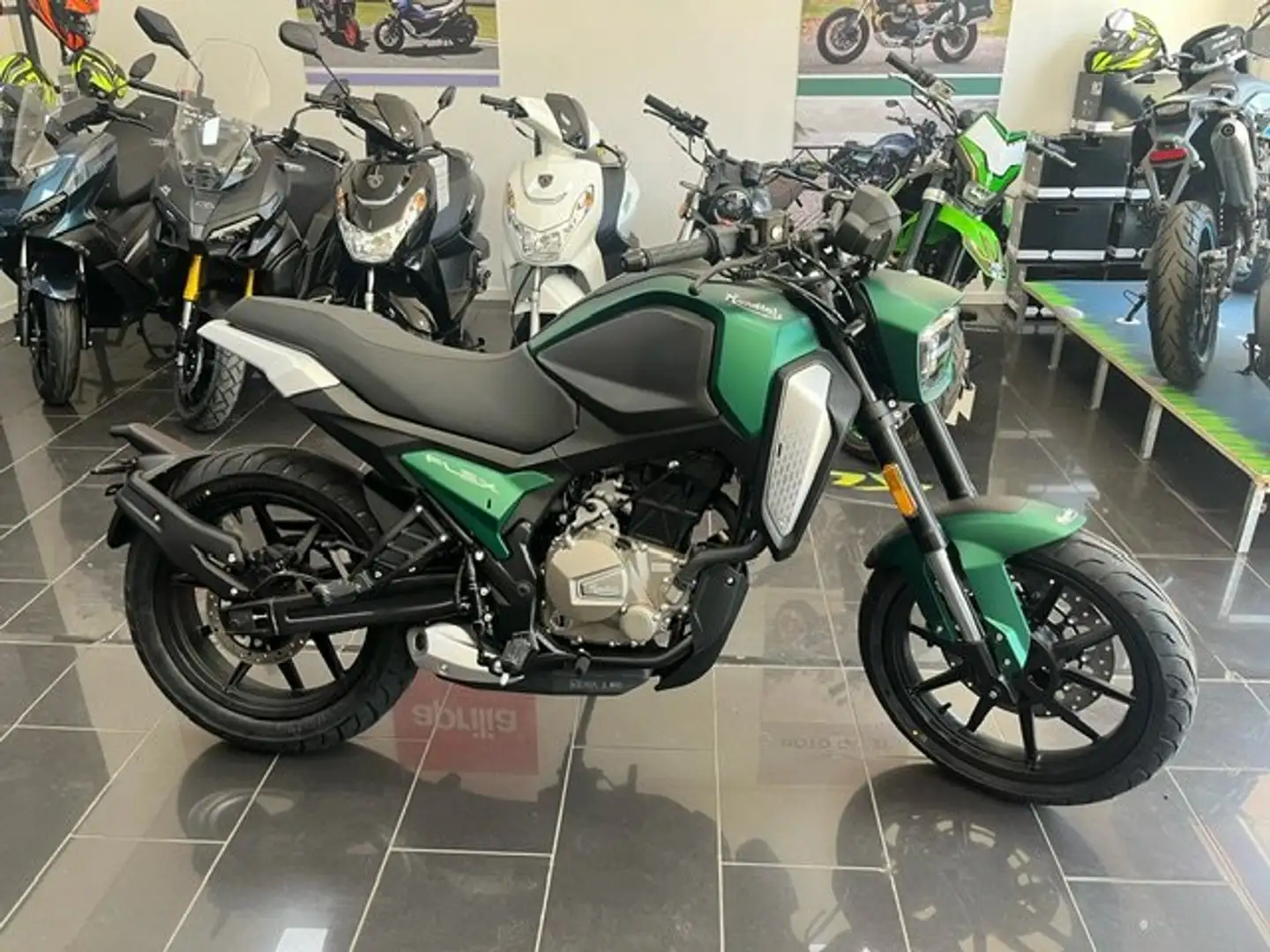 Mondial flex 300 Grün - 1