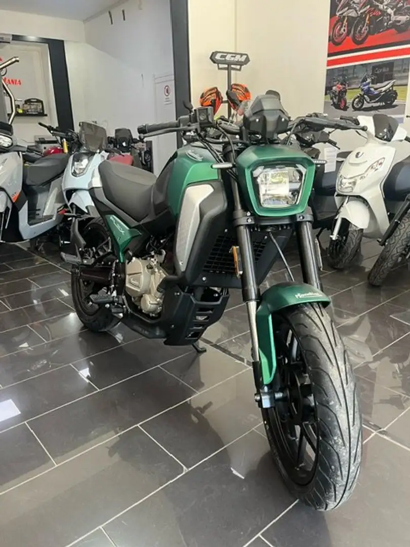 Mondial flex 300 Grün - 2