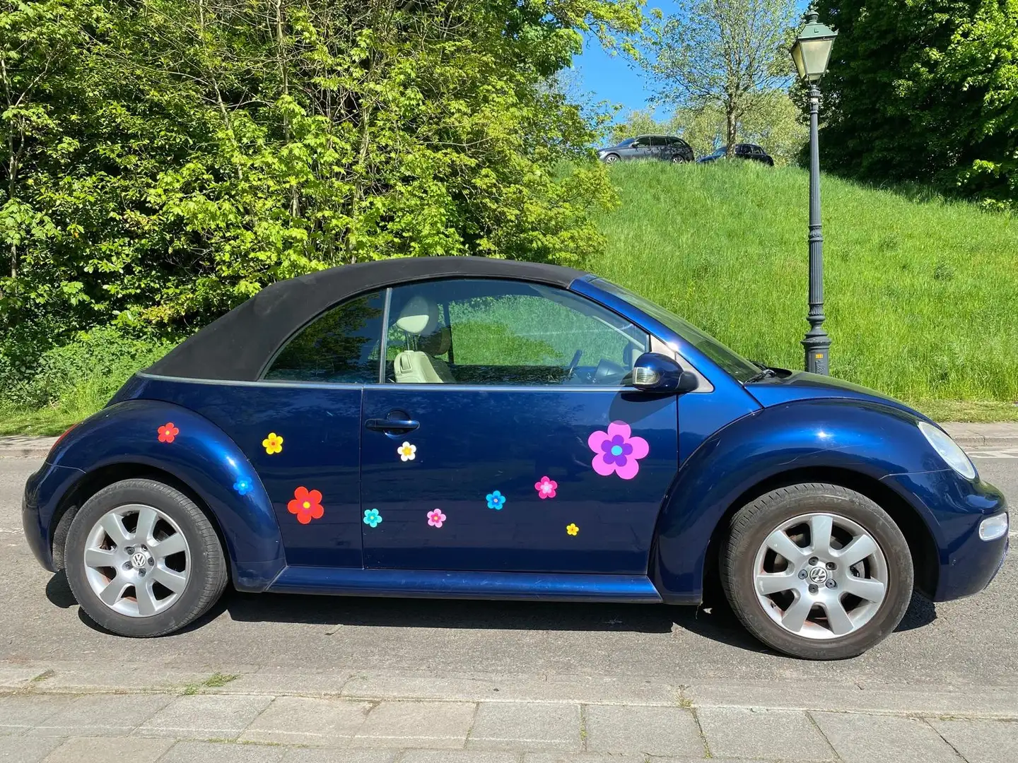 Volkswagen Beetle Modrá - 1