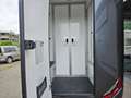Renault Master Pferdetransporter "Sodiak" - thumbnail 18