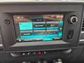 Renault Master Pferdetransporter "Sodiak" - thumbnail 10