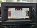 Renault Master Pferdetransporter "Sodiak" - thumbnail 11