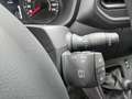 Renault Master Pferdetransporter "Sodiak" - thumbnail 9