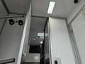 Renault Master Pferdetransporter "Sodiak" - thumbnail 29