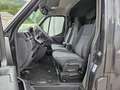 Renault Master Pferdetransporter "Sodiak" - thumbnail 5