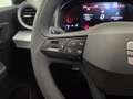 SEAT Ibiza Reference Edition 1.0 Grau - thumbnail 13