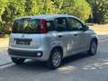 Fiat Panda Panda Easy GPL 1.2 69cv Argento - thumbnail 5