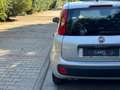 Fiat Panda Panda Easy GPL 1.2 69cv Argento - thumbnail 12
