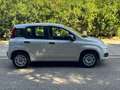 Fiat Panda Panda Easy GPL 1.2 69cv Argento - thumbnail 4