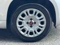 Fiat Panda Panda Easy GPL 1.2 69cv Argento - thumbnail 8