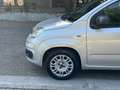 Fiat Panda Panda Easy GPL 1.2 69cv Argento - thumbnail 9