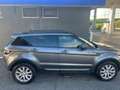 Land Rover Range Rover Evoque 5p 2.0 td4 SE Business edition Premium 150cv auto - thumbnail 9