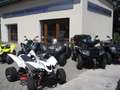 CFMOTO CForce 850 EPS ***75 PS + ABS + Farbdisplay*** - thumbnail 17