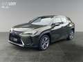 Lexus UX 300e Luxury M&L/CARPLAY Grün - thumbnail 2