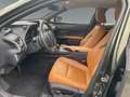 Lexus UX 300e Luxury M&L/CARPLAY Grün - thumbnail 10