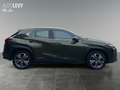 Lexus UX 300e Luxury M&L/CARPLAY Grün - thumbnail 7