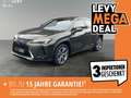 Lexus UX 300e Luxury M&L/CARPLAY Grün - thumbnail 1