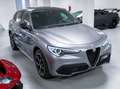 Alfa Romeo Stelvio 2.2 Turbodiesel 210 CV AT8 Q4 Veloce-CERCHI DA Grigio - thumbnail 3