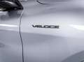 Alfa Romeo Stelvio 2.2 Turbodiesel 210 CV AT8 Q4 Veloce-CERCHI DA Grigio - thumbnail 5