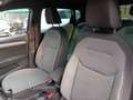 SEAT Ibiza 1.0 TSI S&S Xcellence 115 Gris - thumbnail 10