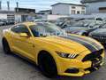 Ford Mustang 3.7 V6 LED+R.KAMERA+LEDER+Bi-XEN+KEYLESS Jaune - thumbnail 12