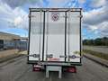 Iveco Daily 35C14 BTor 2.3 HPT PM-RG Cabinato FRIGO FRCX -20° Bianco - thumbnail 7