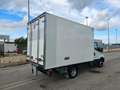 Iveco Daily 35C14 BTor 2.3 HPT PM-RG Cabinato FRIGO FRCX -20° Bianco - thumbnail 6