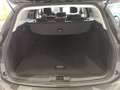 Ford Focus Turnier 1,5 EcoBlue Titanium Aut. Grau - thumbnail 5