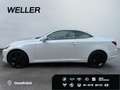 Lexus IS 250 Cabriolet *Leder*el Sitze*SHZ*Navi*Kamera* Blanco - thumbnail 10