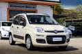 Fiat Panda Panda 1.2 Lounge 69cv Beige - thumbnail 1