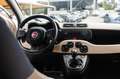 Fiat Panda Panda 1.2 Lounge 69cv Beige - thumbnail 13