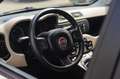 Fiat Panda Panda 1.2 Lounge 69cv Beige - thumbnail 7