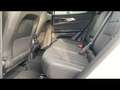Renault Austral 1.3 mild hybrid Techno 160cv auto Bianco - thumbnail 14