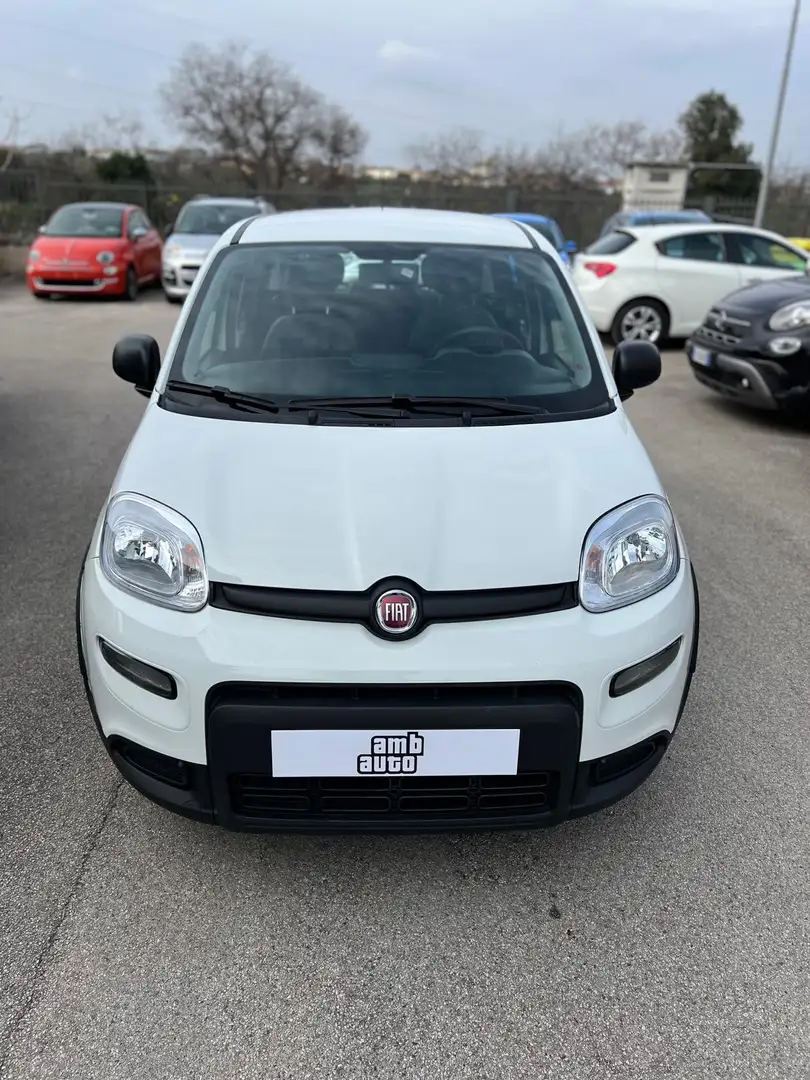 Fiat Panda 1.0 firefly hybrid City Life Fehér - 2