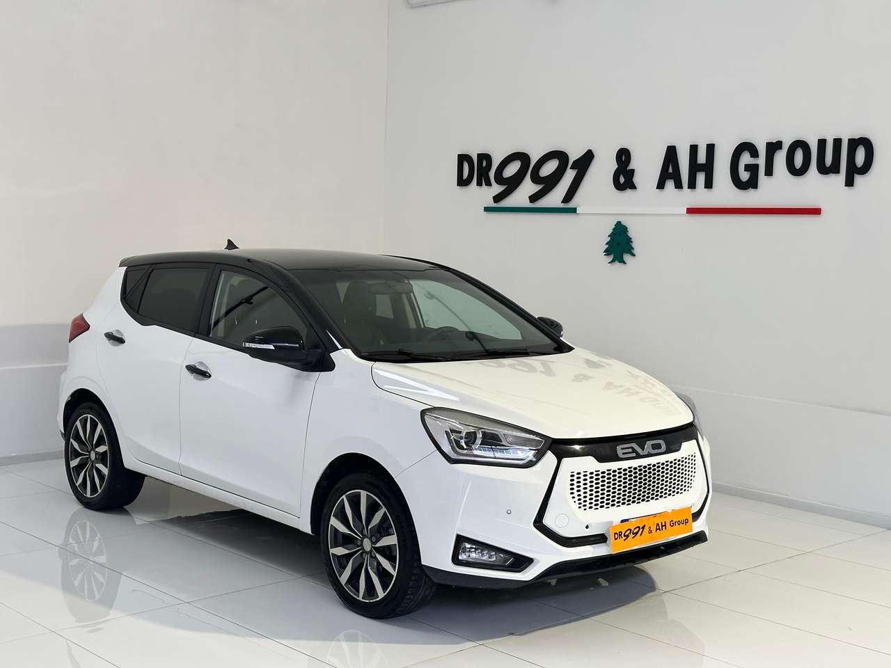 EVO EVO3 Evo 3 1.5 Gpl 114cv