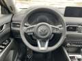 Mazda CX-5 2.5L eSKY G 143 kW (194 PS) Advantage Automatik So - thumbnail 13
