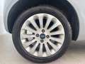 Ford Ka/Ka+ 1.2 8V 69 CV Individual Grigio - thumbnail 4