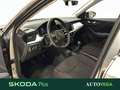 Skoda Kamiq 1.0 tsi ambition 95cv Gris - thumbnail 7