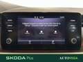 Skoda Kamiq 1.0 tsi ambition 95cv Grijs - thumbnail 12