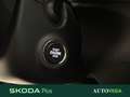 Skoda Kamiq 1.0 tsi ambition 95cv Gris - thumbnail 21