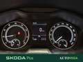 Skoda Kamiq 1.0 tsi ambition 95cv Grijs - thumbnail 11