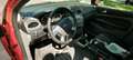 Ford Focus Focus Traveller Trend 1,6 TDCi DPF Trend Rot - thumbnail 6