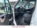 Opel Movano Klima Einparkh. S-Tür Rollstuhlrampe Білий - thumbnail 10