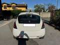 Lancia Ypsilon Ypsilon  1.2  Gold  69cv Bianco - thumbnail 6