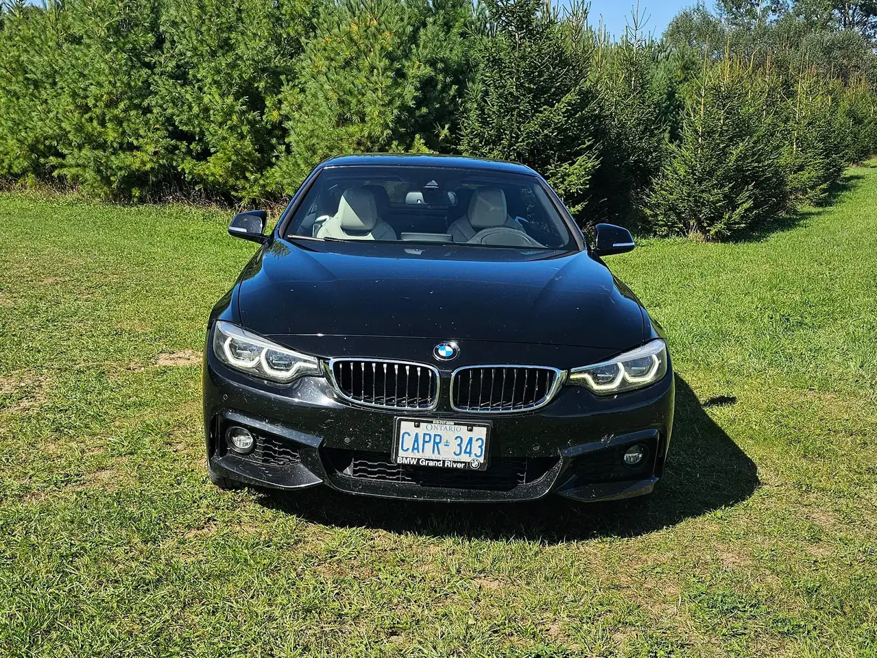 BMW 4 Series снимка BMW 4 Series